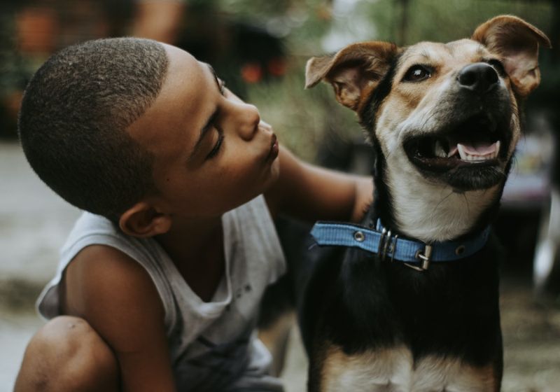 Estudo revela que ter animais faz tão bem quanto amigos e família: ajuda a reduzir ansiedade, solidão e estresse e aumenta a felicidade. - Foto: reprodução/ FPB