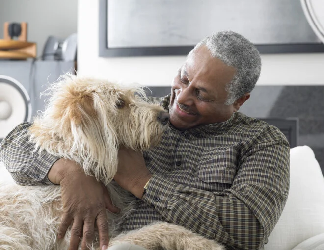 Idosos costumam sentir menos solidão e maior estímulo emocional na convivência com pets.- Foto: LWA/Getty Images