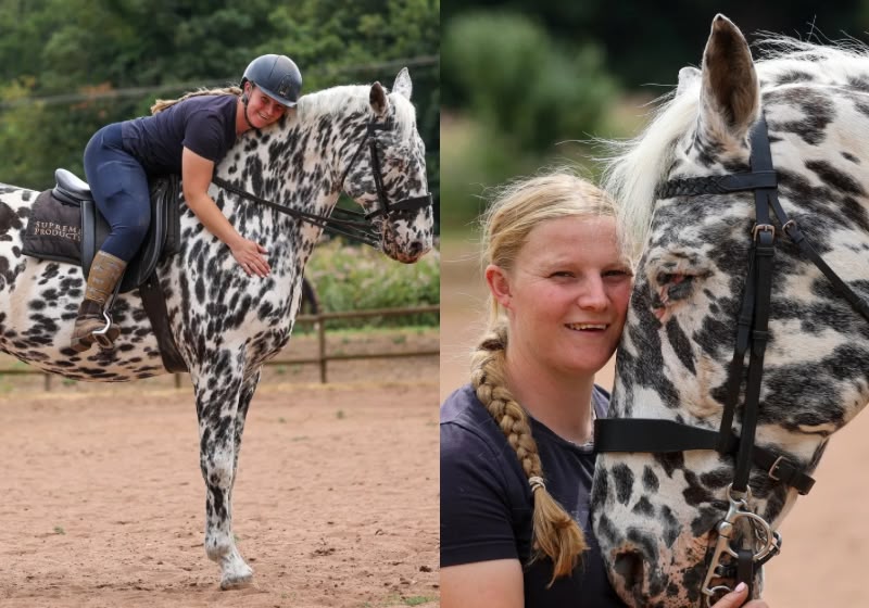 O "Braille equino" ajuda o Milo, um cavalo cego de 15 anos, a voltar ao adestramento e vencer campeonatos em Kidderminster, na Inglaterra. - Foto: Reprodução/SWNS