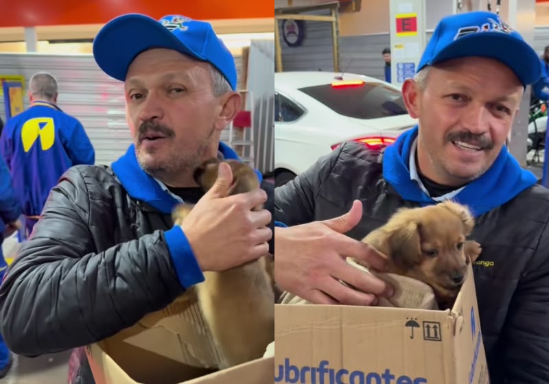 O Filhote caramelo enche Sid de Oliveira de “lambeijos” após ser acolhido num posto de gasolina em Balneário Camboriú (SC). - Foto: Reprodução/Instagram @sidi_bc