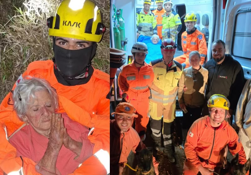 A cadela Meg participou das buscas que ajudaram a localizar a dona Jandira, uma idosa de 95 anos com Alzheimer, que ficou desaparecida por 24 horas na mata em Caeté (MG). - Fotos: Divulgação/Corpo de Bombeiros de Minas Gerais