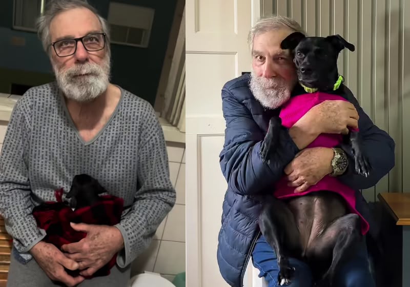 Dodô e a Lady, do Rio de Janeiro, viraram inseparáveis depois o idoso relutou em receber a cachorrinha porque tinha perdido outro cachorro. - Foto: @dodoelady/Reprodução/Instagram