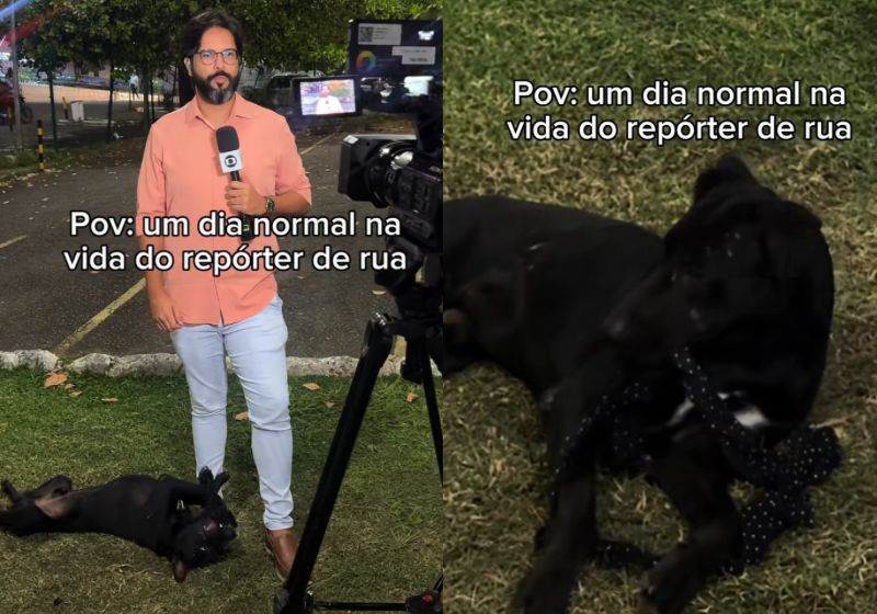 Negão brinca aos pés do repórter Lisboa Júnior durante uma entrada ao vivo da TV Bahia, em Salvador, BA - Foto: Reprodução/Instagram/@lisboajunior2