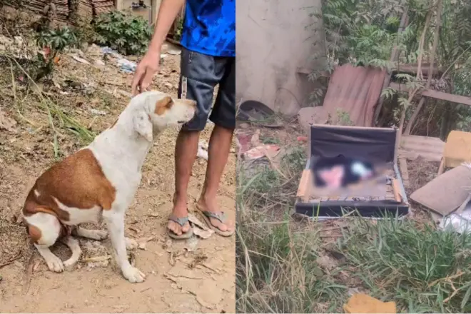 Romeu, o homem que alimenta a cachorra Mag, que encontrou o bebê abandonado num terreno baldio de Minas Gerais, quer adotar a criança. - Fotos: reprodução/R7