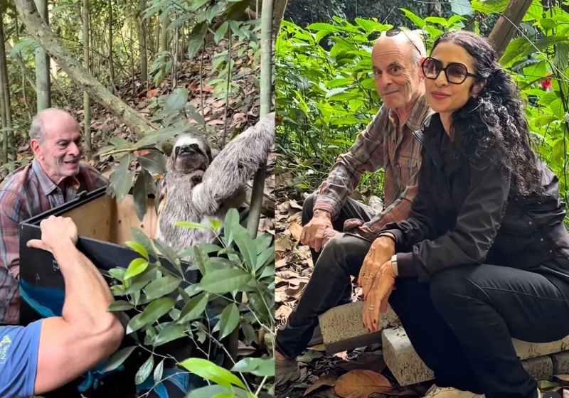 No sítio de Ney Matogrosso, em Saquarema (RJ), ele e Marisa Monte, acompanharam a volta à natureza de uma preguiça-de-três-dedos resgatada e reabilitada pelo Instituto Vida Livre. - Fotos: reprodução/ Instagram/ @neymatogrosso