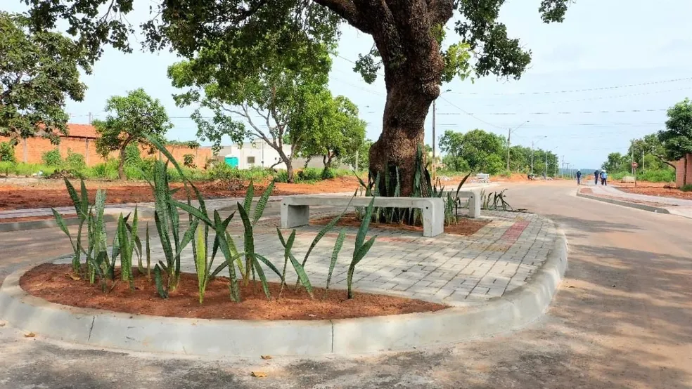 De perto, a pracinha construída ao redor do pé de pequi mostra como a árvore foi incorporada à paisagem da avenida. Foto: Marcos Sandes/Prefeitura de Araguaína