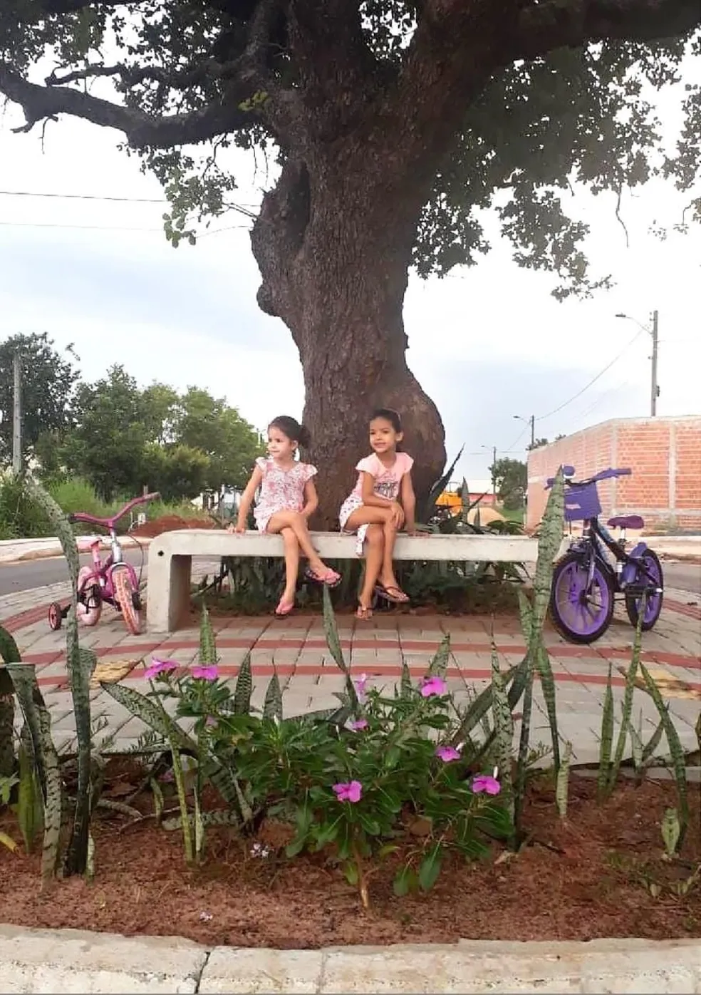 Crianças aproveitam a sombra do pé de pequi, que virou ponto de encontro dos moradores após a construção da pracinha. Foto: Marcos Sandes/Prefeitura de Araguaína