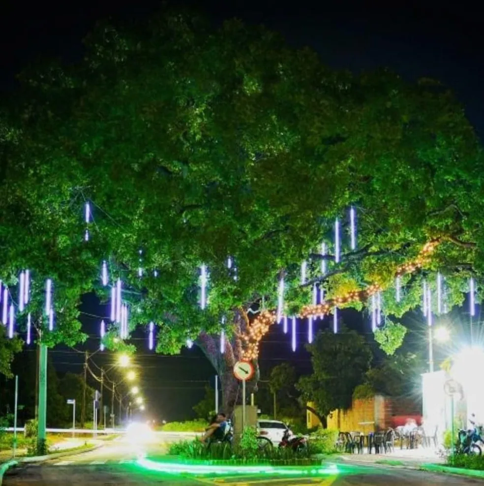 No Natal, o pé de pequi ganhou iluminação especial e virou parte da decoração de dezembro em Araguaína. Foto: Marcos Sandes/Prefeitura de Araguaína