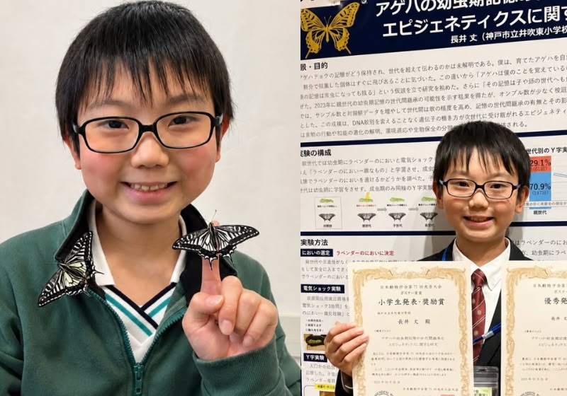 Jo Nagai pesquisa há anos a memória das borboletas-cauda-de-andorinha e apresentou novos resultados científicos no Japão em 2026. Foto: Reprodução / Georgetown University