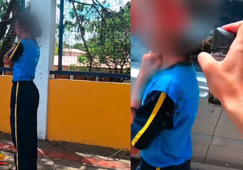 O motoboy Vinny Salamanca enfrentou um enxame de abelhas para salvar uma garota em Ibirité (MG) e sofreu 40 picadas durante o resgate. - Foto: Reprodução/ Instagram / @motoviny