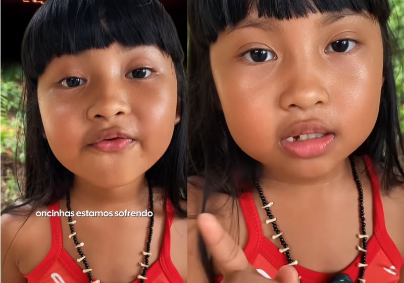 Imagens mostram queimadas registradas no Amazonas durante o período de estiagem e a "Oncinha do Amazonas" gravou um vídeo fazendo apelo. - Foto: Everton Macedo/Reprodução/Instagram/@yandramawe