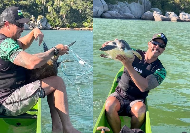 Canoístas da Kaleo Koa Va’a encontraram a tartaruga marinha praticamente imóvel durante uma aula em Bombinhas. O grupo retirou toda a rede de pesca antes de soltá-la novamente no mar. - Fotos: reprodução/ Instagram/ @kaleokoavaa
