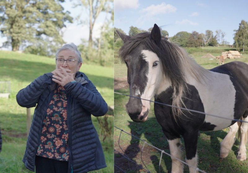 A dona Mary, de 72 anos, gastou R$ 100 no sorteio e ganhou uma mansão milionária, dinheiro e móveis de luxo. Ela chegou a recusar o prêmio porque achou que havia ganhado um cavalo que viu na propriedade. - Fotos: Omaze / SWNS