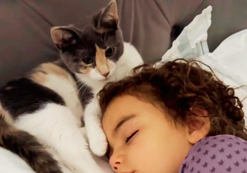 A menina Natalie Fava escolhe e adota a Skye, a gatinha que ninguém queria no abrigo e as duas viraram companheiras inseparáveis, na Flórida (EUA). - Foto: @bru.fava
