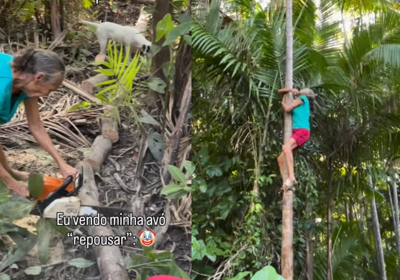 Dona Josefa, de 71 anos, sobe em açaizeiro durante a rotina de trabalho no interior de Afuá, no Pará. Foto: Reprodução/Redes sociais/Wendy Barros.