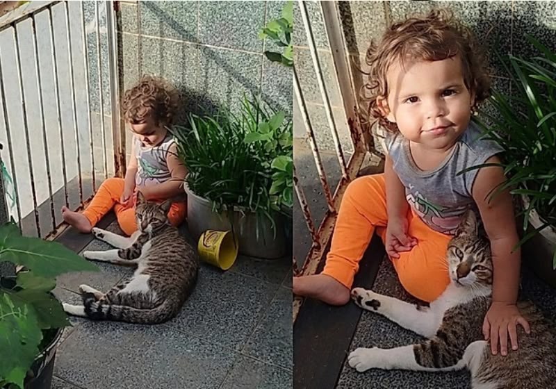 Gato da vizinha aparece todos os dias para visitar a pequena Maria e espera no portão até a família deixá-lo entrar. Foto: Reprodução/TikTok/@maternidadenotiktok