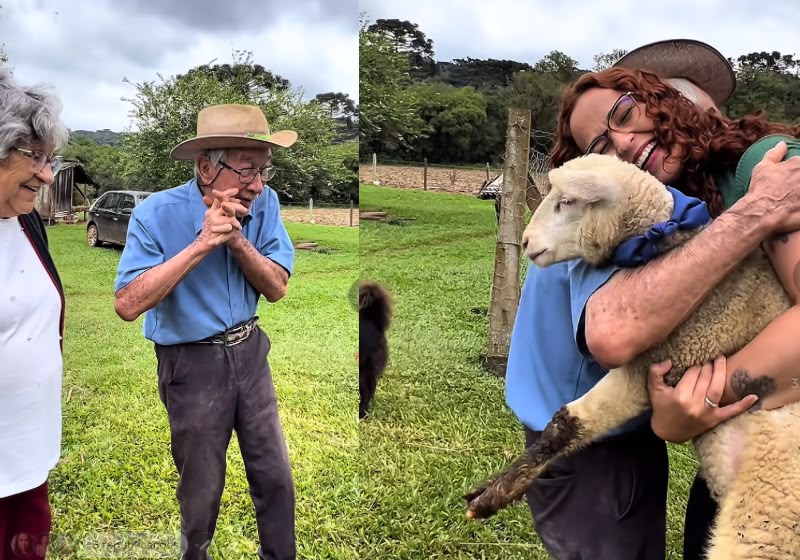 Seu Davi, de 93 anos, ganhou Timba e Joaquina de aniversário e continua cuidando dos carneiros no Paraná. Foto: Reprodução/TikTok @leonardodaluz3.