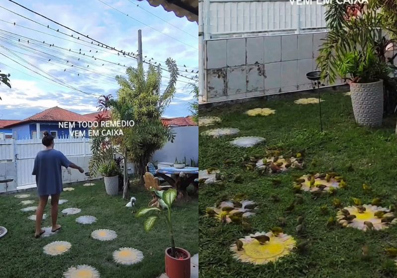 Alessandra Oliveira, chamada de Branca de Neve da vida real, espalha grãos pelo jardim enquanto dezenas de passarinhos livres aguardam nos fios em frente à casa em Araruama, no Rio de Janeiro. Fotos: reprodução/ Instagram/ @casa_daale