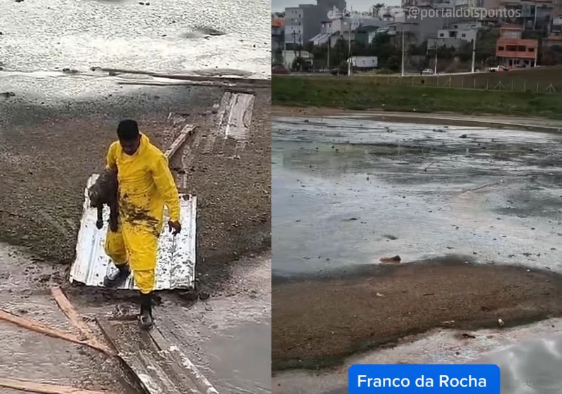 Mimo, o cachorro cego e idoso, de 12 anos, ficou preso na lama de um piscinão de Franco da Rocha (SP). Operários usaram tábuas e telhas para chegar até ele e conseguiram devolvê-lo à família. - Fotos: reprodução/ Instagram/ @portaldoispontos