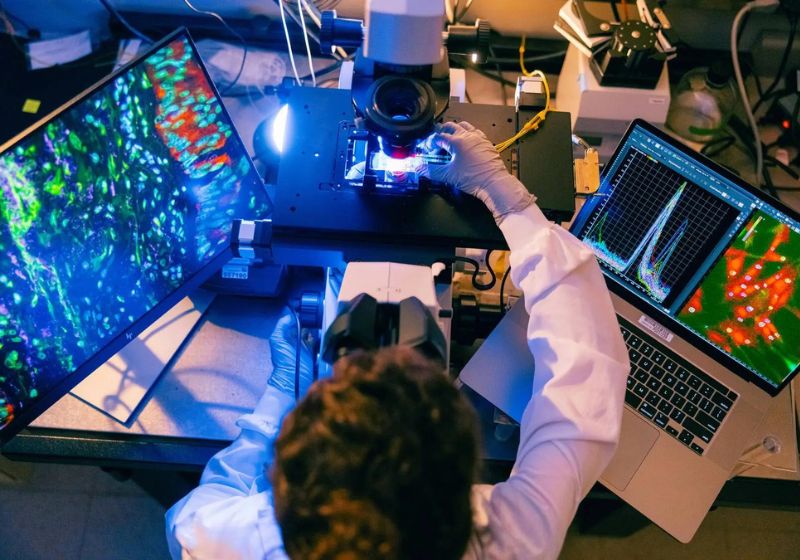 Vacina contra câncer de pâncreas apresentou resposta imunológica em 89 dos 90 pacientes avaliados nos Estados Unidos. Resultado da fase 2 abre caminho para novos testes. - Foto: reprodução/ Mayo Clinic