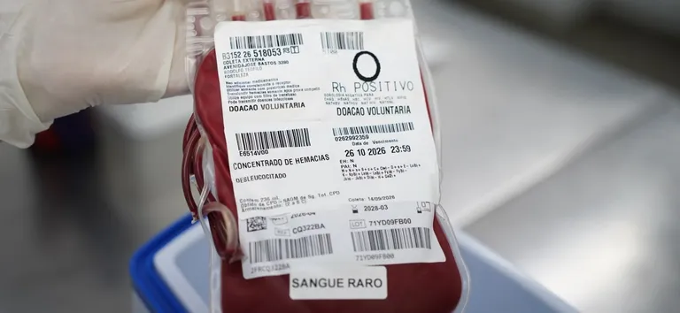 A transfusão do sangue raríssimo, colhido de um paciente do Ceará, foi realizada em Juiz de Fora (MG) após uma verdadeira mobilização nacional. - Foto: Paulo Cavalcanti/ HEMOCE